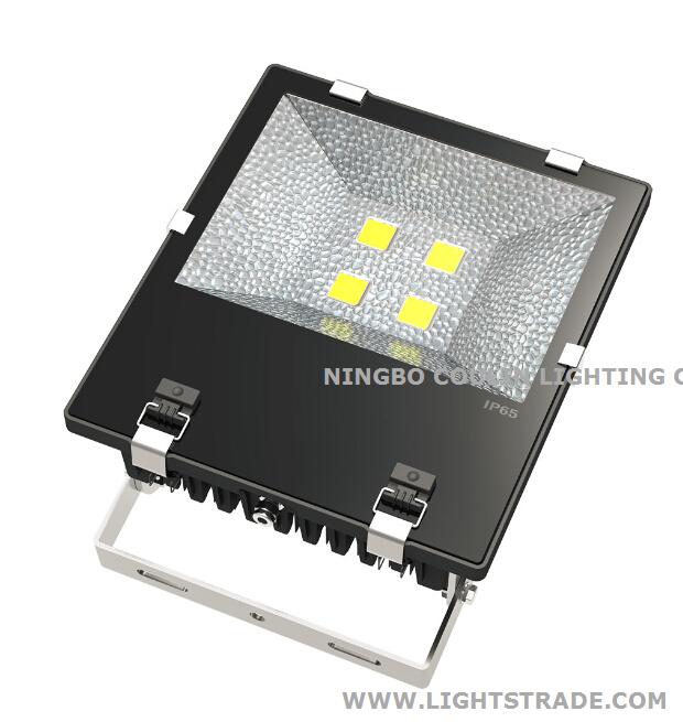 200W LED FLoodlight with Bridgelux chip and Meanwell LED Driver