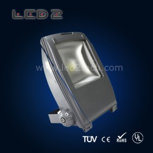 10W/30W/50W Frosted Shell LED flood light