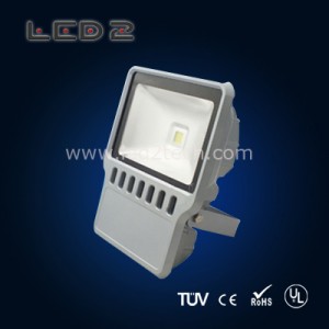 100W Flood lights with gray color