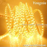 High Lumens Flexible Led Strip Smd 5050 for Decorative Outdoor Lighting