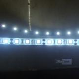 Waterproof LED strip light SMD505 14.4W/M PU glue cover IP65