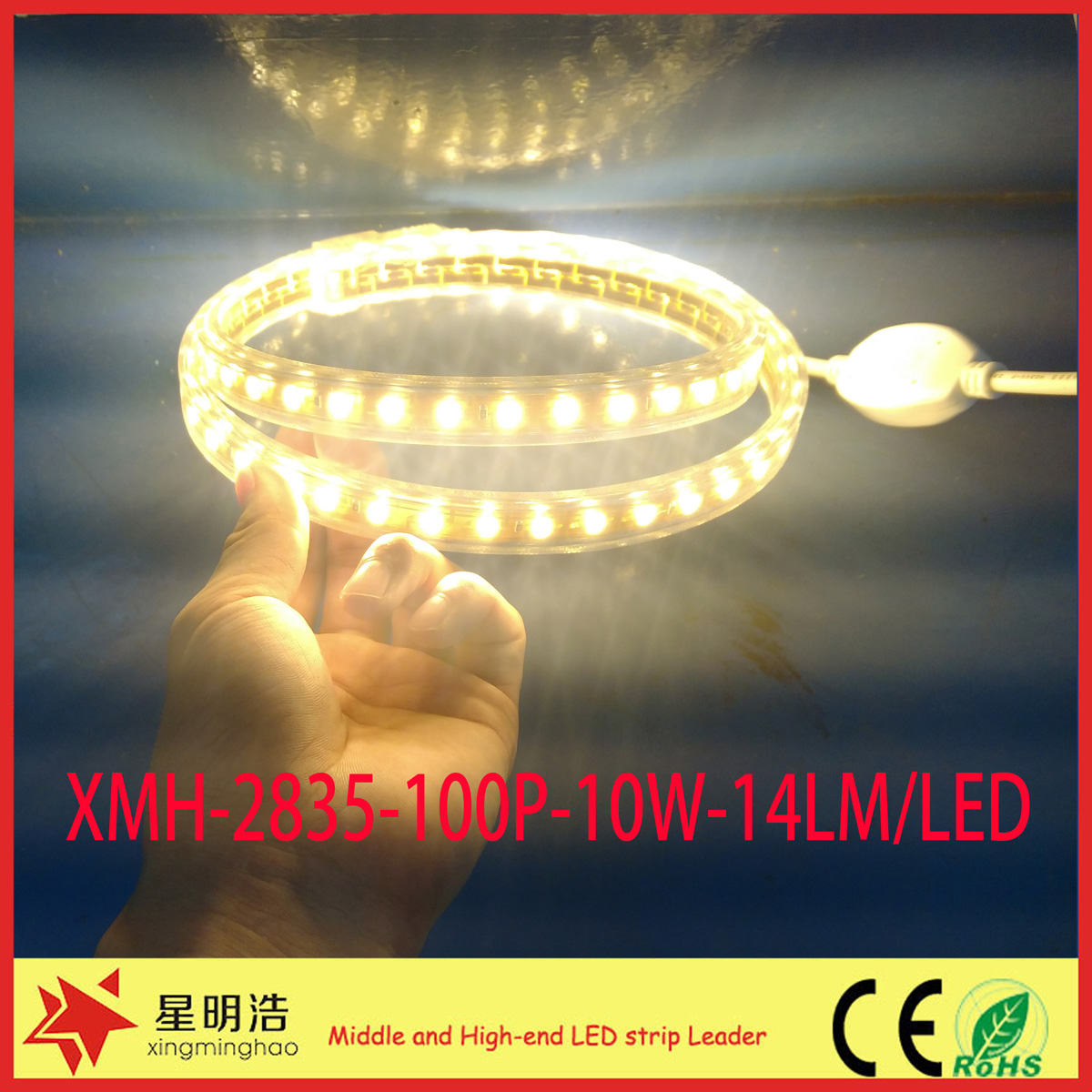 made in china zhongshan wholesales waterproof led strip light