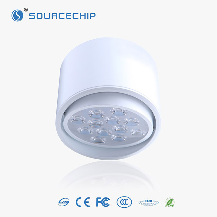 High-efficiency 12W surface mounted led down light wholesale