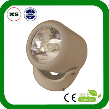 LED ceiling light 10w 2014 new arrival passed CE and RoHS