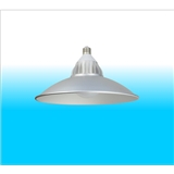 LED Bulkhead Lamp