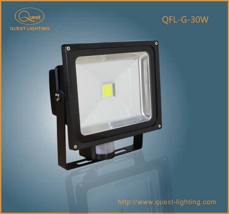 QUEST LIGHTING LED FLOODLIGHT QFL-G-30W