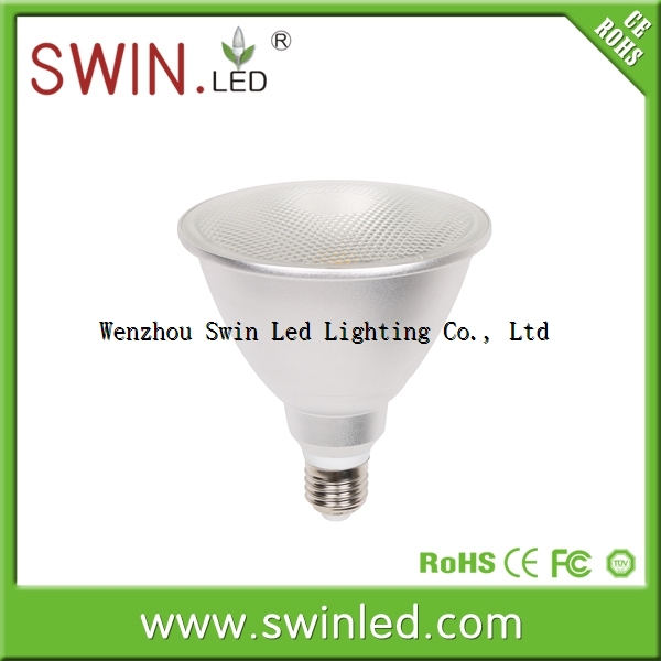 IP65 cob par38 led lamp,professional led lights China manufacturer