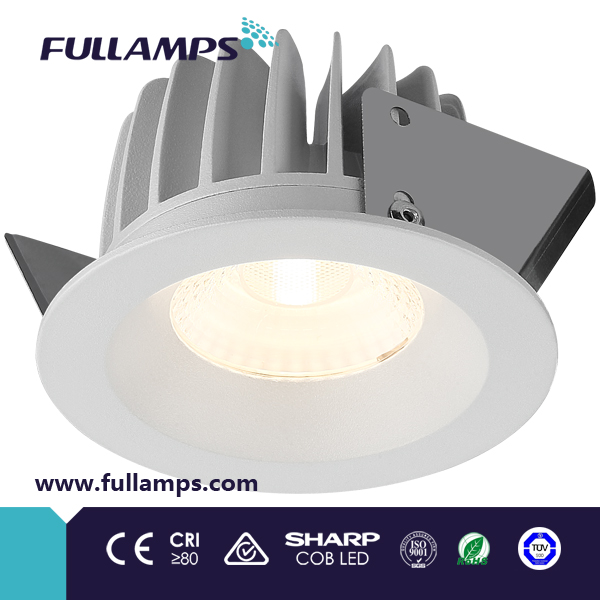 FR1001W 10W COB led down light dimmable driver 2014 new design