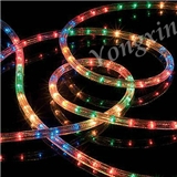 36 Bulbs per Meter Rice Bulb Rope Light for Holiday Decoration