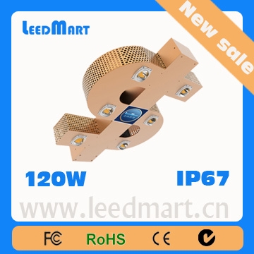 LED Street Light/Street Lamp 100W to 220W CE C-Tick FCC ROHS IP67 Five or Ten years warranty