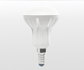 The LED bulb