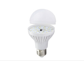 The LED bulb