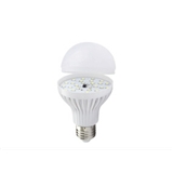 The LED bulb