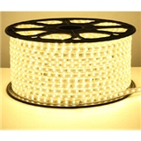 Article lamp 