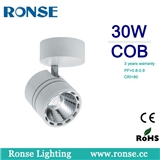 Foshan Modern LED COB Track Light 30W (RS-2281D 30W)