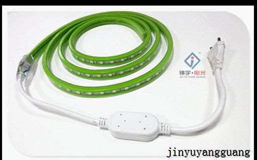 Luxury Green Strip Light 220V 5050 60