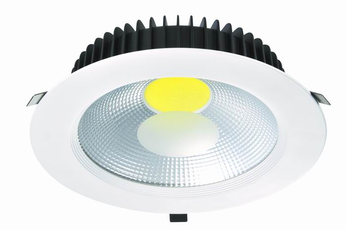 Factory supply cheap led downlight with best quality cob led 30w led down light