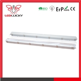 CE RoHS Approved led tri-proof light