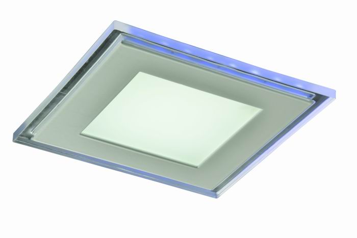 SMD2835 Led Square/Round Panel Light 2 Years Warranty With Blue and White Color Chaning CE RoHs 