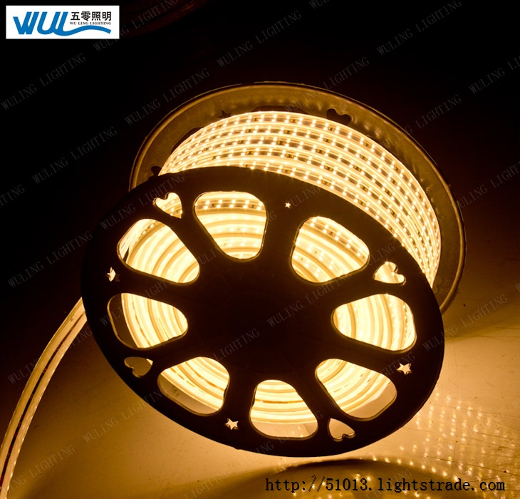 5050-120Lamps-12MM-Three Cores
