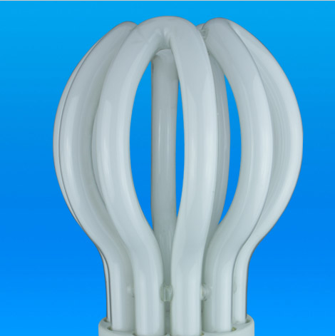 30W Lotus Lamp 14MM 6000H CE Approved