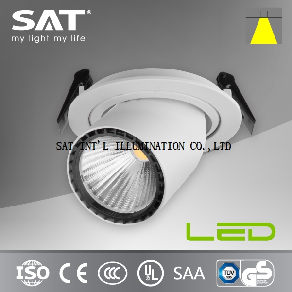 18W Led Pull Down Lighting Cob with Dimmable Supply
