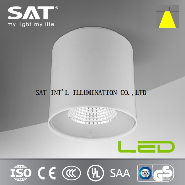 18W/4 Inch Surface Mounted Ceiling Light for 80lm/w+