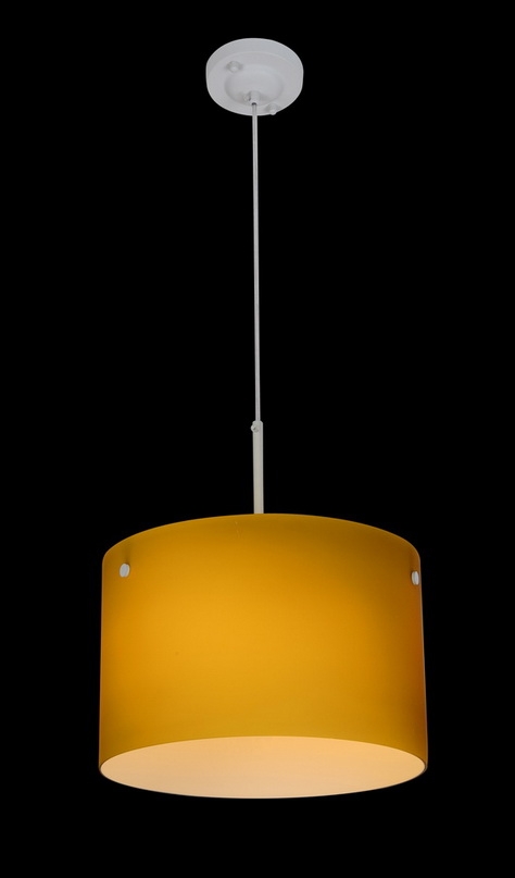The modern glass pendant lamp