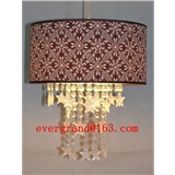 Decorative indoor pendant lighting lamp shade morden design PF80