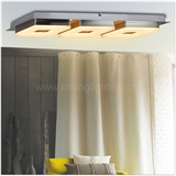 C54173 new european style frosted pc shade ceiling light