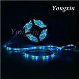 Green & Blue Waterproof Flexible Led Strip with SMD 3528
