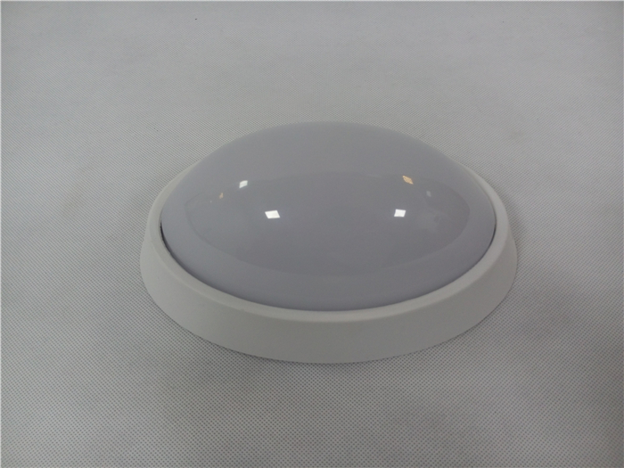 IP65 Waterproof Ceiling Lamp Indoor Outdoor 