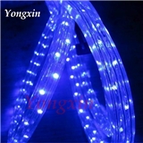 Blue Color 3 Wires Flat LED Rope Lighting with Long Life Span