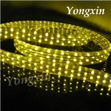 Super Bright Flat 5 Wires Led Rope Light with 144 leds per meter