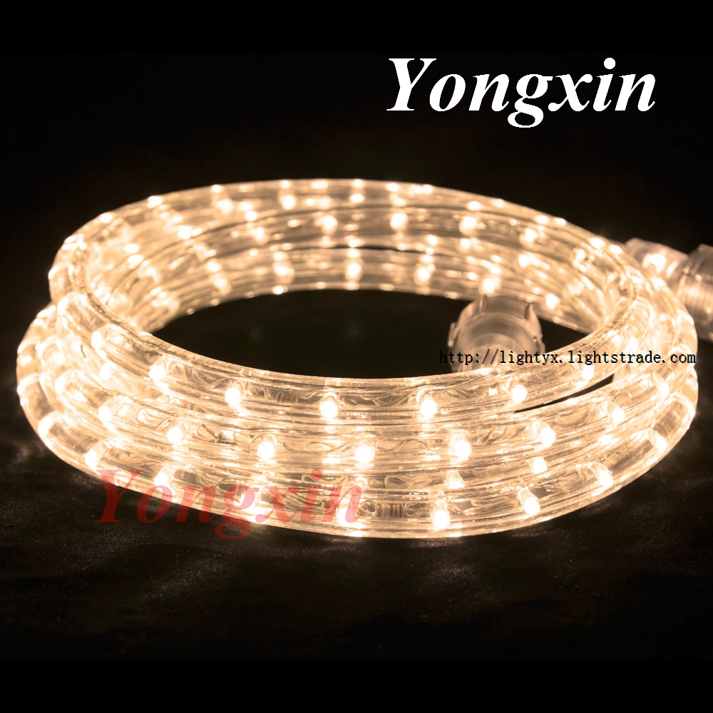 220V Warm White Round Led Rope Lights with CE/RoHS Quality