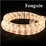 220V Warm White Round Led Rope Lights with CE/RoHS Quality