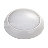 RSD-9009 hot selling ceiling light 10w IP54 IK10 lights