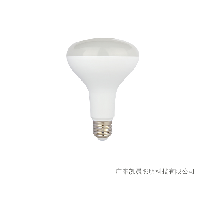 BR30A1 BR LED BULB COMPONENTS POWER:15W