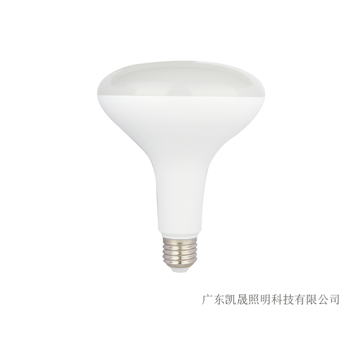 BR40A1 BR LED BULB COMPONENTS POWER:18W