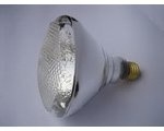 Rainbow new blown PAR38 reflector bulb type