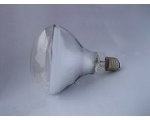 New Hong Yuba bulb