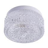 Ceiling Light 2435 E27 1x MAX 60W