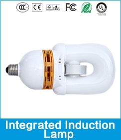 Integrated Induction Lamp 