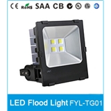 LED Flood Light FYL-TG01