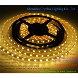 5050 Flexible strip Low Voltage waterproof CE ROHS Approved