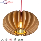 2016 New Design Hanging Pendant Lamp Made by 