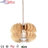 Home Pendant Lamps For bedroom Room 