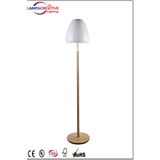 White Iron Tall Floor Lamp Suit For Living Room LCD-MG310