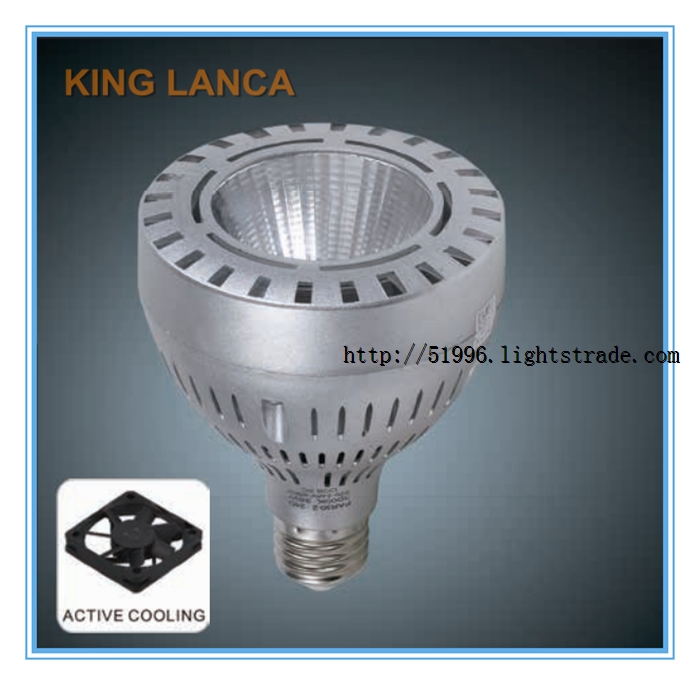 King Lanca LED ILLUMINANT LCA04