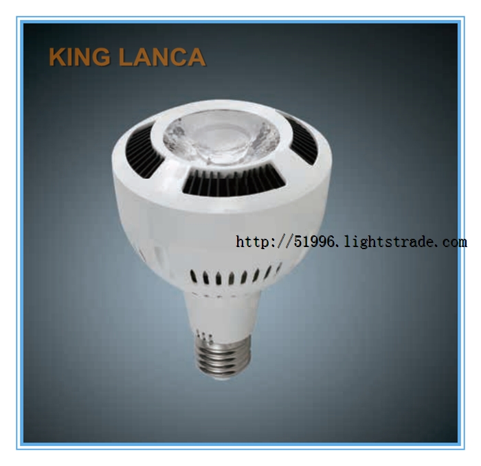 King Lanca LED ILLUMINANT LCA01